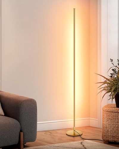 Dimmable Corner Floor Lamp